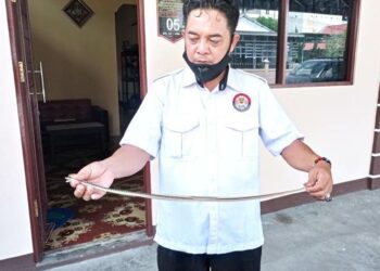 Teks Poto: Tim ERP pada saat mengevakuasi ular tambang sepanjang satu meter.