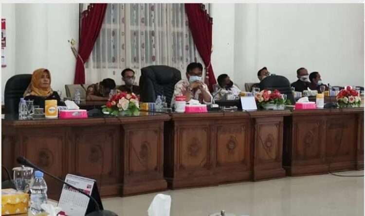 Foto - Kegiatan rapat dengar pendapat yang di pimpin oleh Ketua DPRD Kabupaten Barito Selatan (ist)