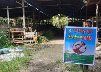 Pemko Pasang Spanduk Waspada Penyebaran PMK di Lokasi Penjualan Hewan Kurban