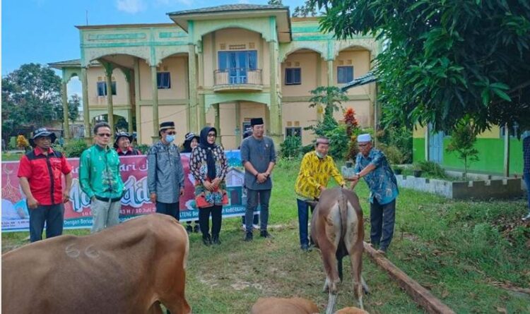 Keterangan : Penyerahan bantuan hewan kurban sapi di halaman pondok pesantren (ponpes) Babussalam Kapuas, Jumat (8/7/2022).