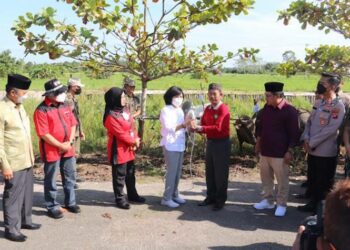 Pudjirustaty Narang Bagikan 56 Hewan Kurban