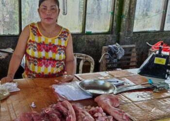 Teks Poto - Salah seorang Peternak sekaligus Pedagang Daging Babi di Pasar Kahayan, Isma.