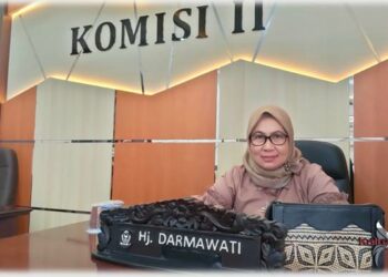 Foto - Anggota Komisi II DPRD Kabupaten Kotawaringin Timur, Hj. Darmawati.(Fitri).