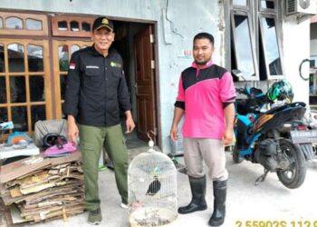 Petugas Damkar Serahkan Burung Beo ke BKSDA