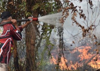 Kebakaran Hutan dan Lahan Mulai Terjadi di Palangka Raya