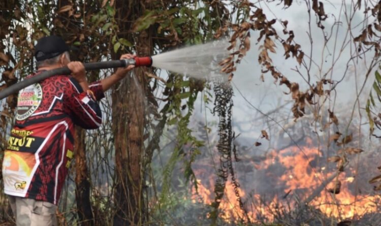 Kebakaran Hutan dan Lahan Mulai Terjadi di Palangka Raya