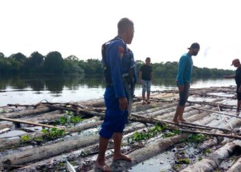 Anggota Ditpolairud Polda Kalteng saat mengamankan ratusan potong kayu hasil ilegal logging di Sungai Mentaya