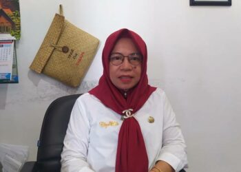 Keterangan : Kepala Bidang Pemberdayaan Perempuan dan Perlindungan Anak, Ellya Ulfa. (Ist)