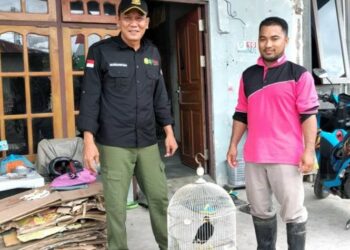 BKSDA Akui Banyak Masyarakat Belum Paham Satwa yang Dilindungi