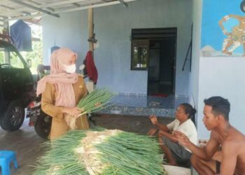 Debit Air Naik, Petani di Kelurahan Kalampangan Percepat Panen