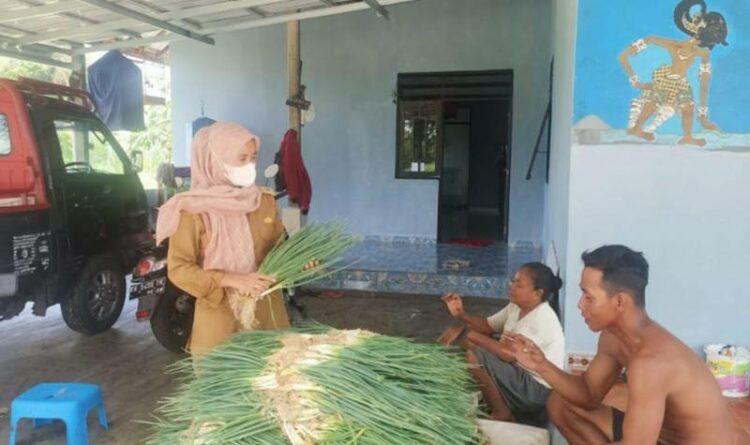 Debit Air Naik, Petani di Kelurahan Kalampangan Percepat Panen