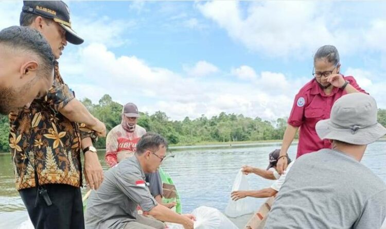 Pelepasan puluhan ribu bibit ikan di cekdam Bendungan Karau oleh Dinas Perikanan dan Peternakan Kabupaten Barito Timur