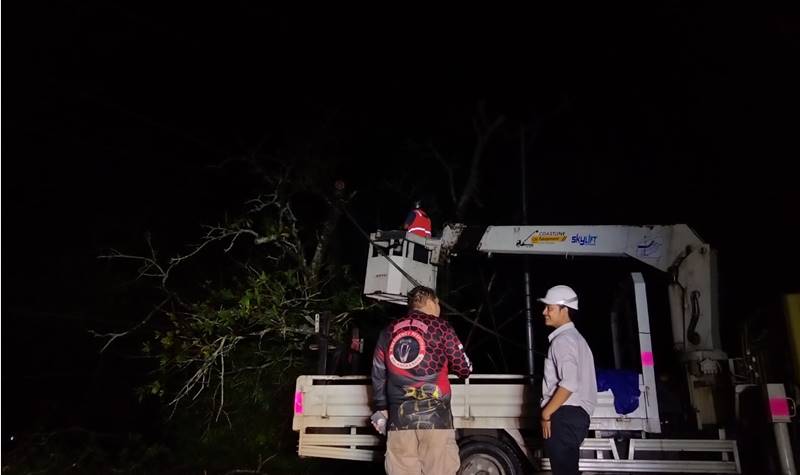 Teks Poto: Petugas pada saat melakukan evakuasi pohon tumbang.