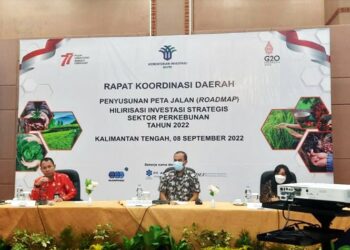 Masukan dan Data Diperlukan Untuk Penyusunan Hilirisasi Investasi Sektor Perkebunan di Kalteng