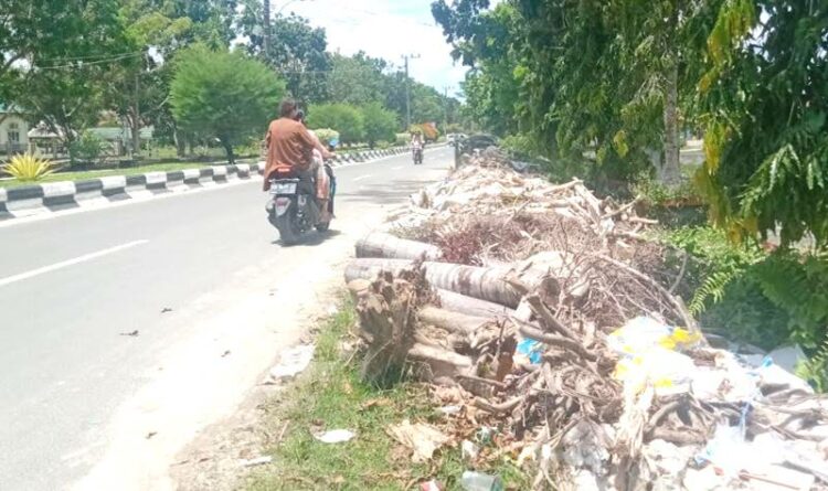 Waduh! Sampah Non Rumah Tangga Menumpuk di TPS Komplek Perkantoran