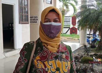 Wakil Ketua II DPRD Barito Selatan, Enung Irawati