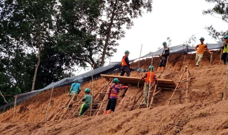 Antisipasi Longsor, PLN Lakukan Pembuatan Trap Tebing dan Penanaman Rumput Vetiver di PLTA PM Noor