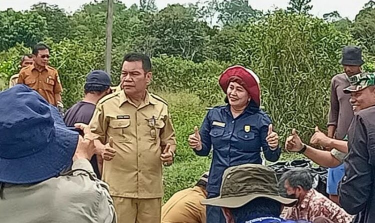 Anggota DPRD Gumas Ikut Tanam Sakuyan Lombok