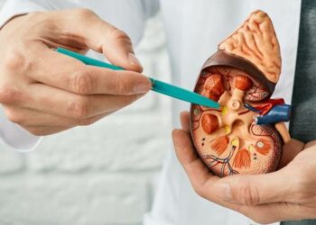 Foto Ilustrasi Gagal Ginjal Angkut ( Sumber :www.kompas.com)