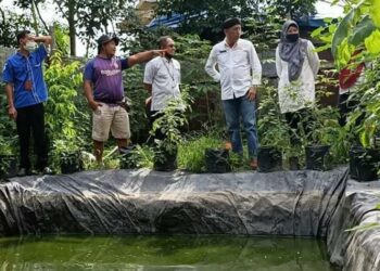 Kadis Perikanan Kotim Ahmad Sarwo Oboi (dua dari kanan) saat mengecek lokasi Pokdakan Desa Kandan Kecamatan Kota Besi