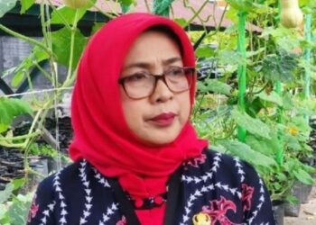 Pinjam Pakai Excavator Pemkab Kotim, Cukup Gunakan Aplikasi
