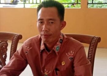 Ket. Foto : Ketua Komisi I DPRD Barsel, Jarliansyah (ist)