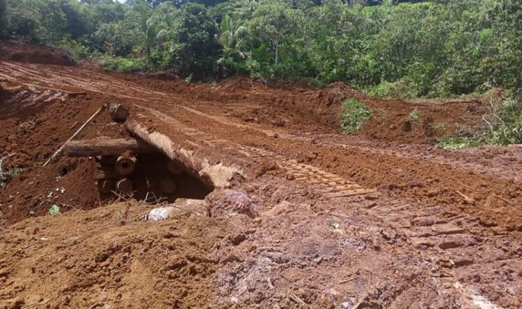 Kondisi Jembatan Penghubung Desa Cangkang-Nono Kecamatan Tanah Siang usai diperbaiki oleh perusahaan yang dibantu Pemerintah Desa setempat