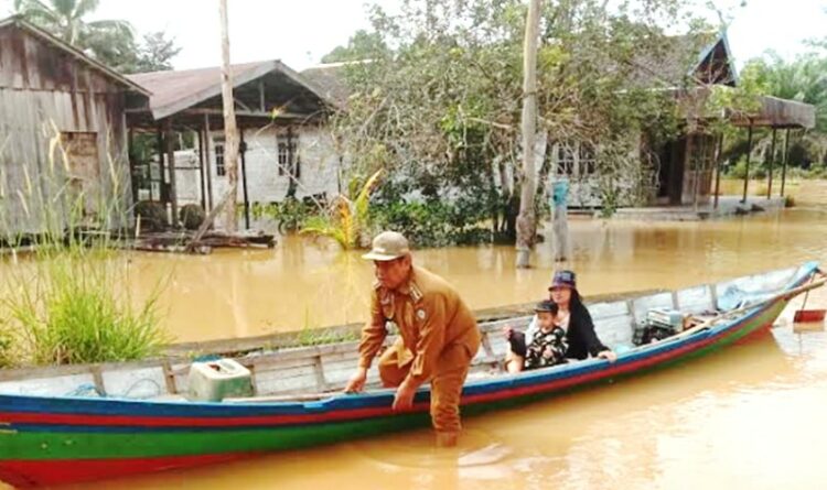 Banjir dan Kebakaran Hutan Hantui Kabupaten Kotawaringin Timur