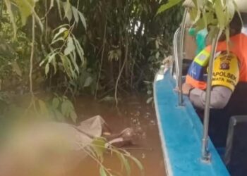 Pria 98 Tahun Ditemukan Tewas Sangkut di Dahan Pohon di Desa Pantai Laga