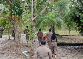 Satpol PP Tertibkan Bangunan Diatas Jalur Hijau dan Parit di Kabupaten Katingan