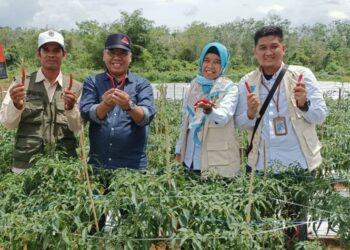 Dorong Program Electrifying Agriculture, PLN Sukseskan Panen Raya Kelompok Tani di Kalimantan Selatan