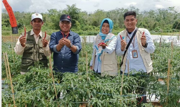 Dorong Program Electrifying Agriculture, PLN Sukseskan Panen Raya Kelompok Tani di Kalimantan Selatan