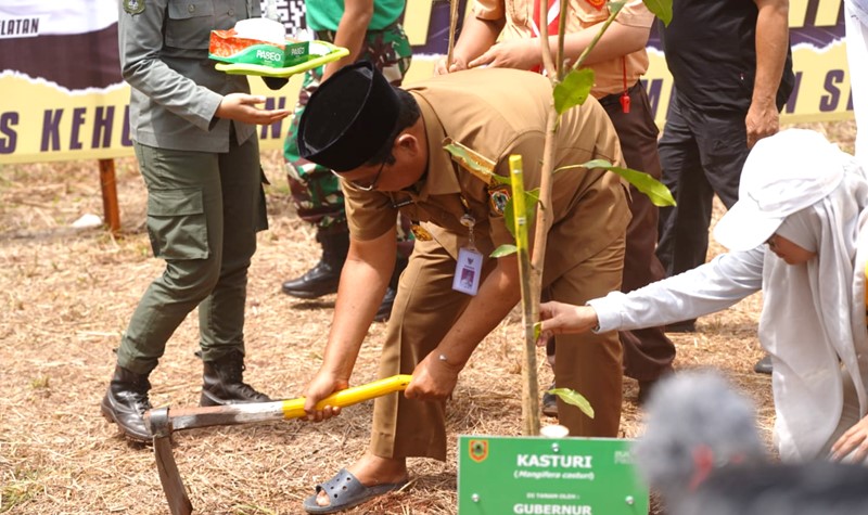 Peringati Hari Menanam Pohon Indonesia, PLN Ajak Gubernur Tanam 2.000 Pohon di Kalimantan Selatan