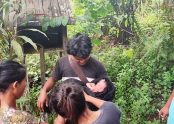 Bayi yang ditemukan di perkebunan sawit PT Karya Dwi Putra (KDP) dievakuasi, Kamis (17/11/2022) sore