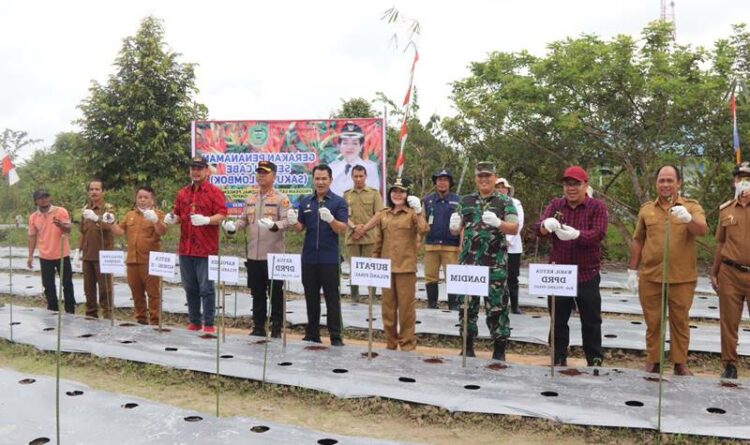 Bupati Pulang Pisau Pudjirustaty Narang bersama Forkopimda melaksanakan gerakan menanam cabe dalam mendukung program GNPIP di Desa Jabiren, Senin (21/11/2022).