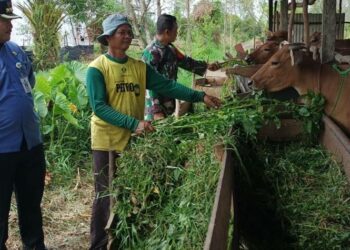 Camat Basarang mengunjungi kelompok peternak tirta kencono