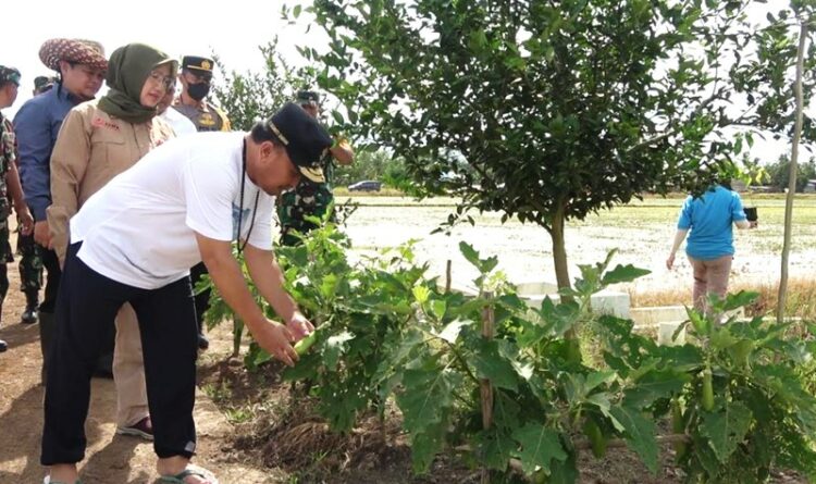 Gubernur Pastikan Program Food Estate Kalteng Berjalan Lancar