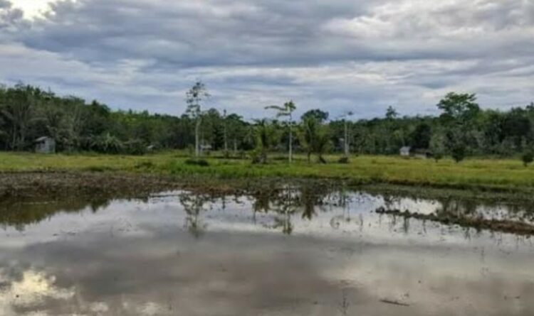 Desa Kupang Sudah Garap 250 Hektare Lahan Ketahanan Pangan
