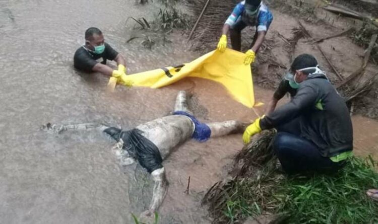 Petugas kepolisian mengevakuasi mayat Anthoni dari parit di perkebunan kelapa sawit di wilayah Desa Sebabi, Kotim, Selasa (15/11/2022)