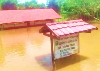 Pemkab Pulang Pisau Tetapkan Status Siaga Bencana Banjir