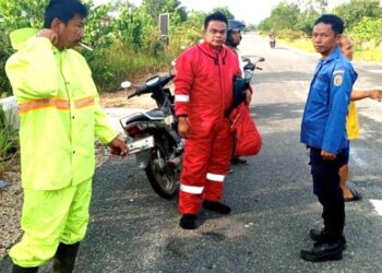 Lebah Serang Puluhan Warga dan Siswa SMAN-2 Kasongan
