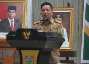 Perangkat Daerah Harus Memahami Metadata Statistik Sektoral