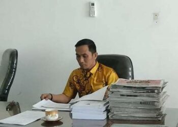 Anggota DPRD Kabupaten Katingan Budy Hermanto