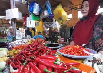 Harga Cabai di Palangka Raya Semakin Pedas, Tembus Rp. 70 Ribu Per Kilogram