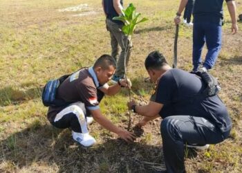 Jaga Kelestarian Lingkungan Melalui Program Penghijauan