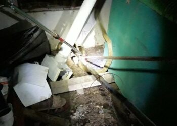 Hendak Jemput Cucu, Warga Palangka Raya Temukan Kobra Sepanjang 2 Meter