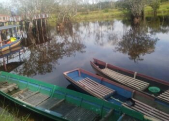 Danau Diaren Desa Magantis, Tawarkan Pesona Alami dan Luwesnya Harga