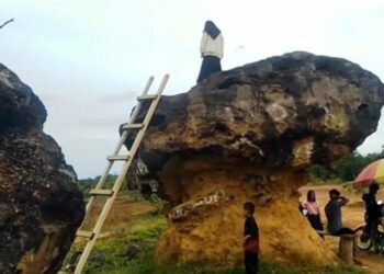 Pesona Pantai Jodoh di Bartim, “Pantai” di Tengah Hamparan Pepohonan