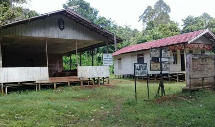Bangunan Balai Basarah yang ada di Desa Dambung, merupakan salah satu hasil perjuangan Kabupaten Bartim (foto : ist)