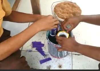 Kreasi Tanam Hidroponik dari Botol Bekas Minuman